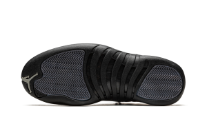 air-jordan-12 DO8726-100