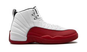 air-jordan-12 CT8013-116