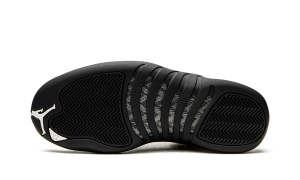 air-jordan-12 CT8013-106