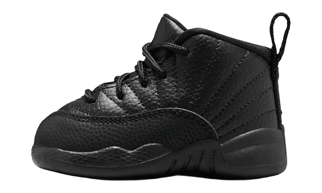 air-jordan-12 850000-003