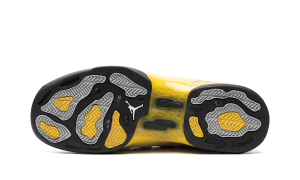 air-jordan-17 FJ0395-100