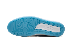 air-jordan-2 DQ7691-419