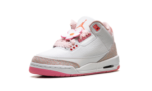 air-jordan-3 II0599-600