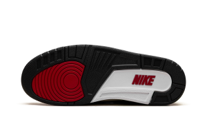 air-jordan-3 IR0914-400