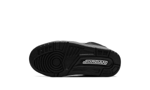 air-jordan-3 DM0966-001