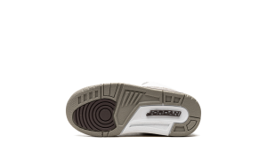 air-jordan-3 DJ0718-110