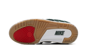 air-jordan-3 IF3097-300