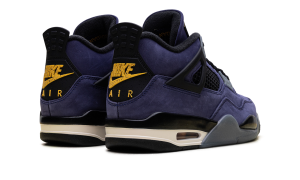 air-jordan-4 FV5029-500
