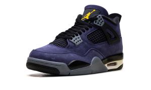 air-jordan-4 FV5029-500