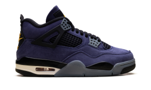 air-jordan-4 FV5029-500