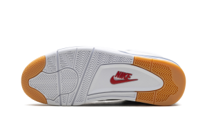 air-jordan-4 DR5415-100