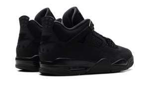 air-jordan-4 FV5029-010