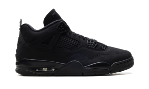 air-jordan-4 FV5029-010