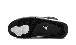 air-jordan-4 FQ8138-001