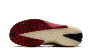 jordan-air-jordan-40 IQ4087-100