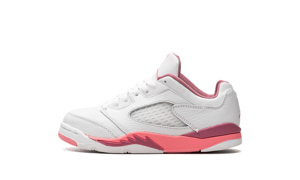 air-jordan-5 DX4389-116