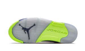 air-jordan-5 DB3335-100