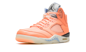 air-jordan-5 DV4982-641