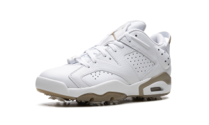 air-jordan-6 DV1376-100