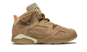 air-jordan-10 DH0693-200