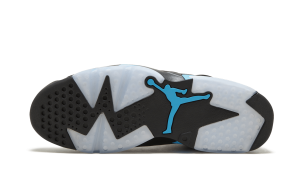 air-jordan-6 384664-006