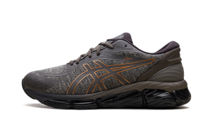Asics GEL-Quantum 360 VIII Gore-Tex “Dime – Brown” (1203A651-200)