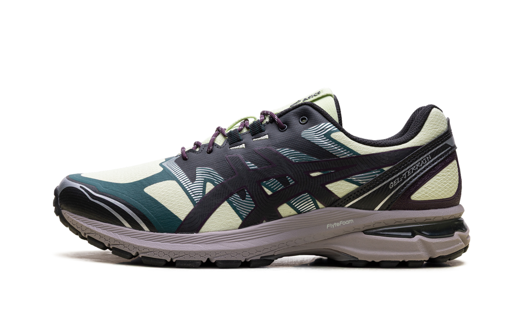 asics-gel-terrain 1203A342.302