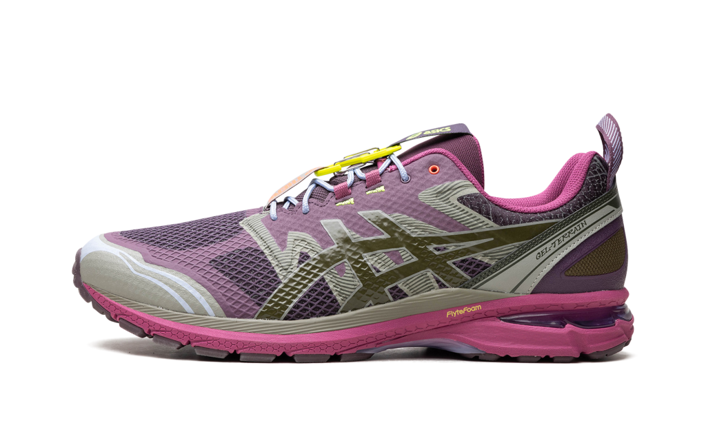 asics-gel-terrain 1203A520-500