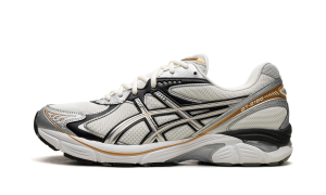 Asics Gt-2160 Cream/Pure Silver (1203A320.100)