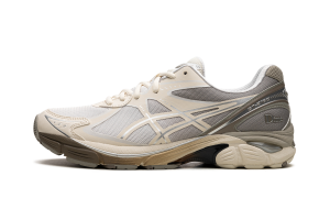Asics GT-2160 “DIME Arctic Wolf” (1201A887-100)