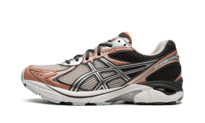 Asics Gt-2160 Oyster Grey/Brick Dust (1203A275.021)