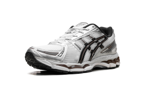 asics-gel-kayano 1203A759-104