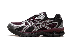 Asics Gel Nimbus 10.1 “Beniimo Purple” (1203A543-501)