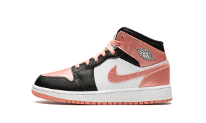 air-jordan-1 DM9077-108