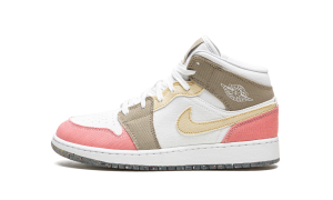 air-jordan-1 DJ0338-100