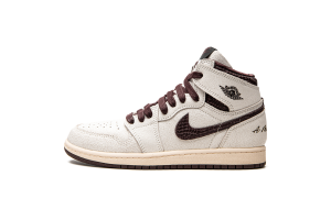air-jordan-10 DO7099-100