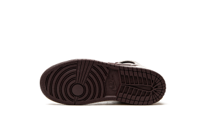 air-jordan-10 DO7099-100