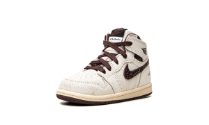 air-jordan-10 DO7098-100