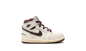 air-jordan-10 DO7098-100
