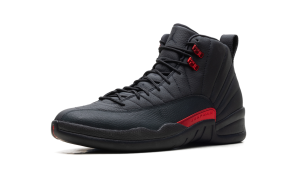 air-jordan-12 CT8013-003