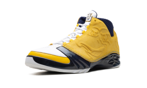 air-jordan-23 FV1334-700