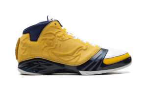 air-jordan-23 FV1334-700