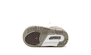 air-jordan-3 DJ0719-110