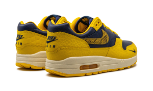 nike-air-max FJ5479-410