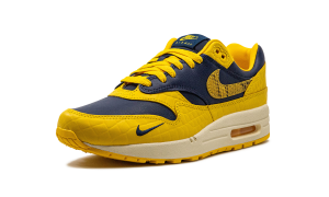 nike-air-max FJ5479-410