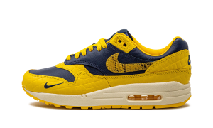 nike-air-max FJ5479-410