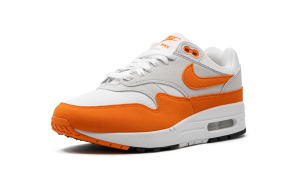 nike-air-max DZ2628-002