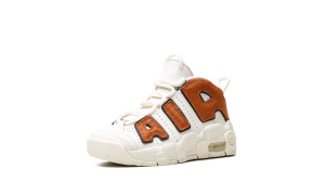 nike-air-more-uptempo DZ5322-001