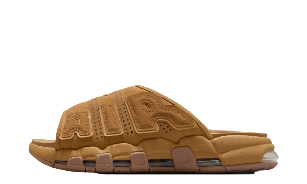 nike-air-more-uptempo FZ3113-200
