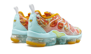 nike-air-vapormax CD7009-300